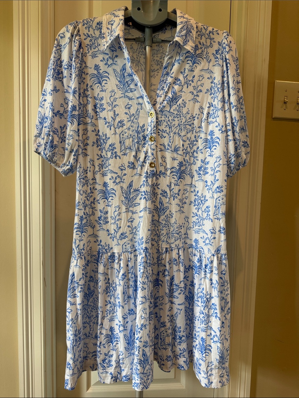 Lilly Pulitzer Blue and White Floral Mini Shirt Dress